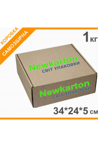 Самозбірна коробка з друком 1 кг - 34х24х5см, аналог Нової Пошти
